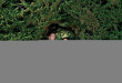 cache/resized/33aa4827c7d8e4c4d9a2a62ec8db0371.jpg
