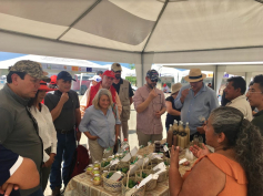 Proyecto TD Cerezal Bellavista benefició a 681 familias ecuatorianas