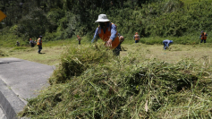 Se recuperaron seis mil hectáreas de áreas verdes en Quito