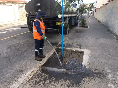 Con más árboles mejora el medio ambiente de Cotocollao