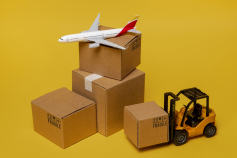 Proyecciones y oportunidades de exportación para este 2025
